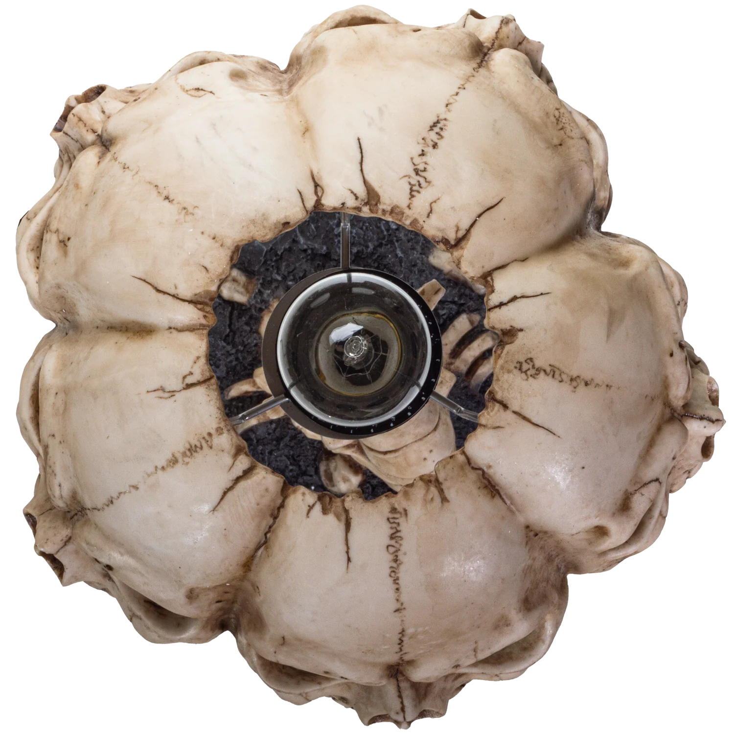 Skull Lamp - Image 8