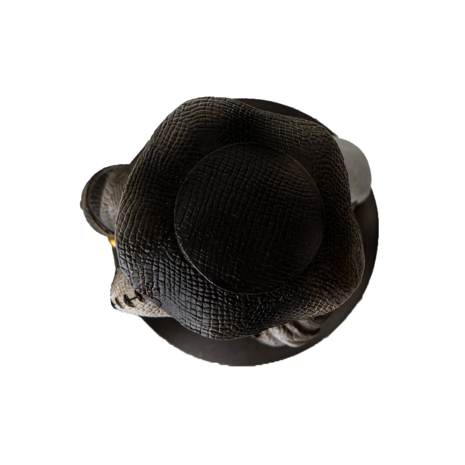 Pinheads Dr. Plague - Image 6