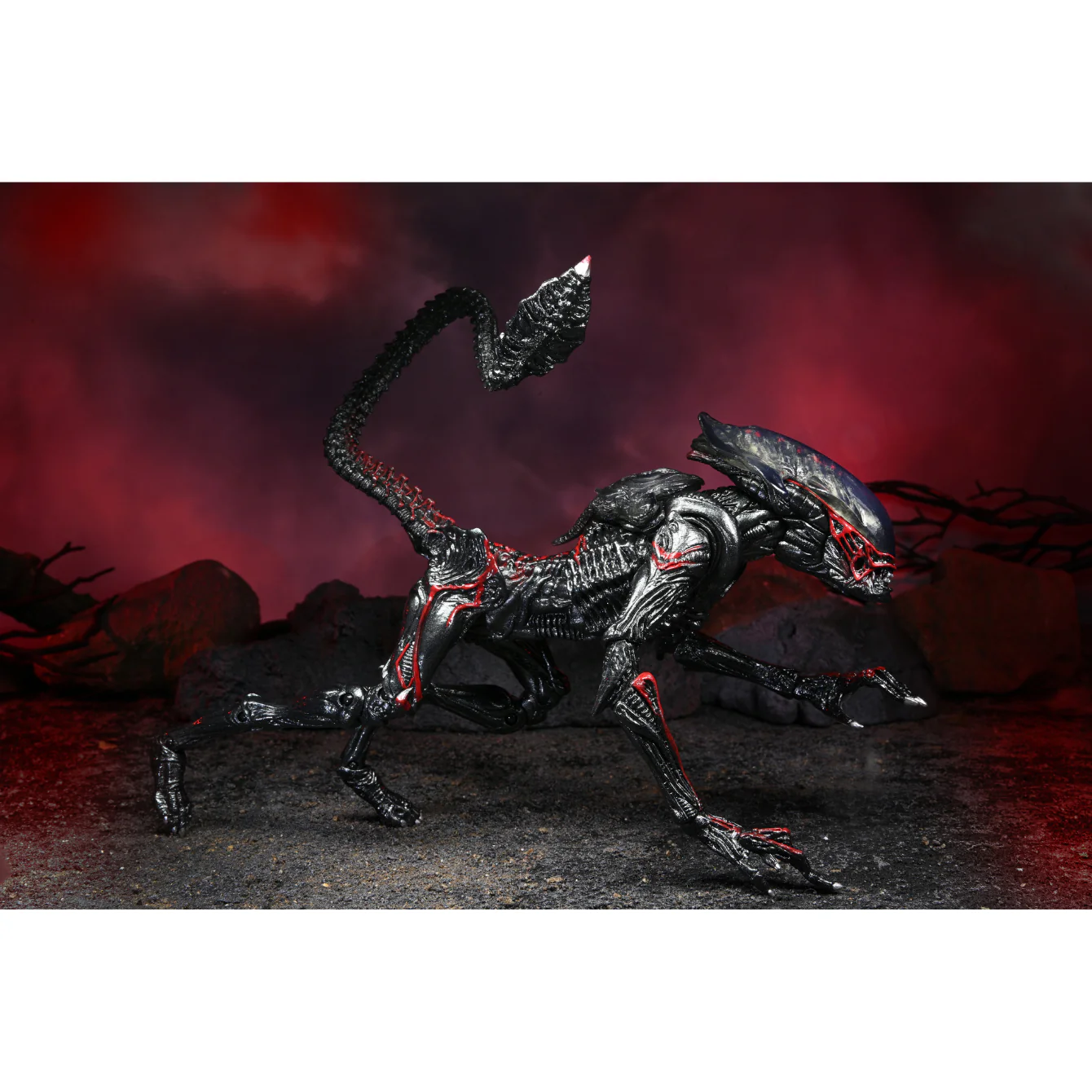 ALIENS - 7IN SCALE ACTION FIGURE - KENNER TRIBUTE ULTIMATE NIGHT COUGAR ALIEN - Image 2
