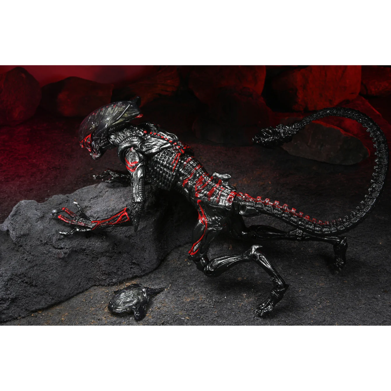 ALIENS - 7IN SCALE ACTION FIGURE - KENNER TRIBUTE ULTIMATE NIGHT COUGAR ALIEN - Image 3