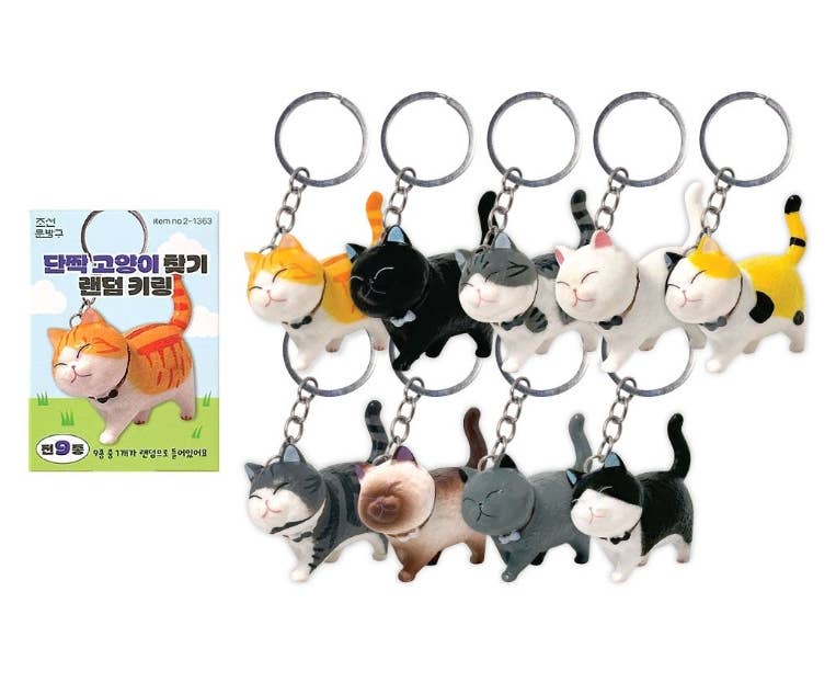 Best Friend Cat Figure Collectable Keyring Random Box - Image 8