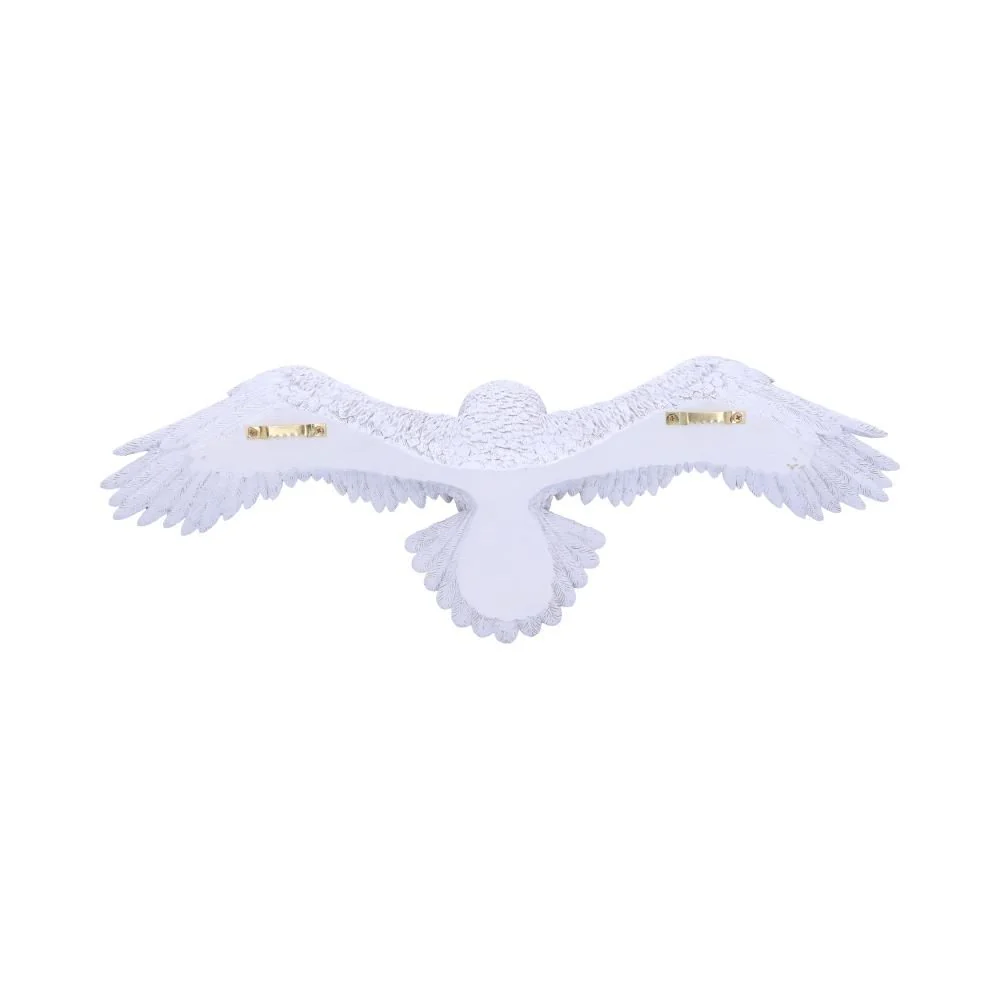 HARRY POTTER HEDWIG WALL PLAQUE 45CM - Image 3