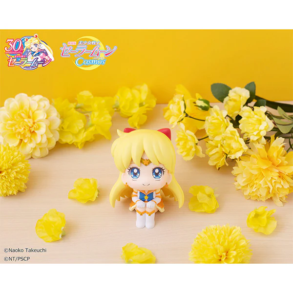 Lookup Pretty Guardian Sailor Moon Eternal Sailor Venus - Image 5