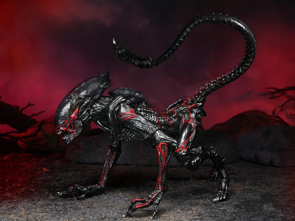 7″ NECA Scale Action Figure – Kenner Tribute Ultimate Night Cougar Alien - Image 11