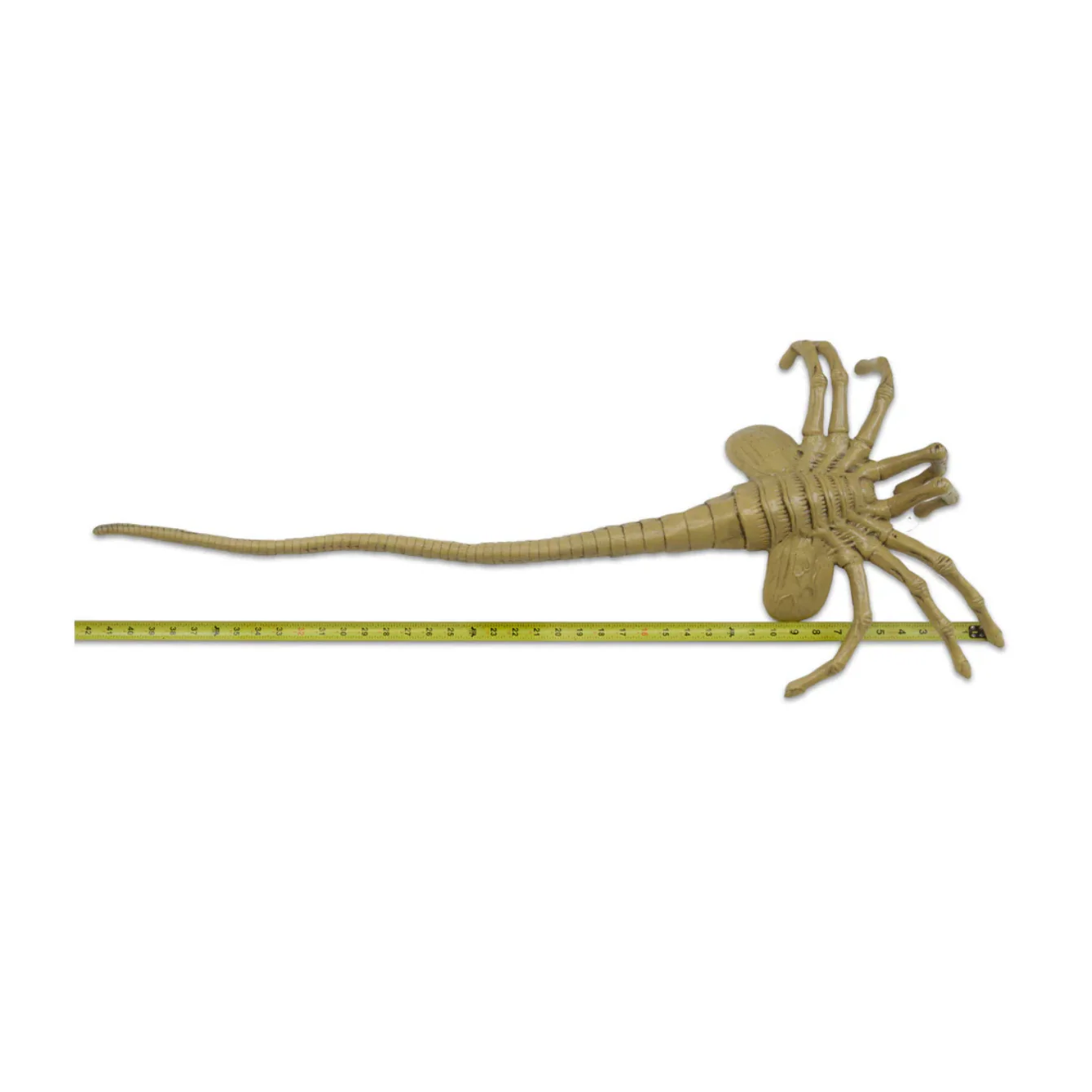 Aliens – Foam Prop Replica – Life-Size Facehugger - Image 2