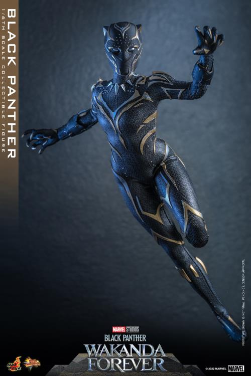 Black Panther 1/6 Scale Figure - Image 10
