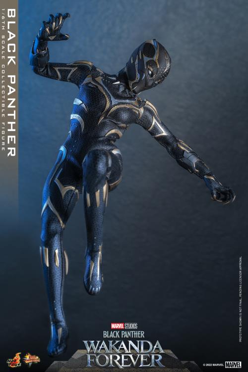 Black Panther 1/6 Scale Figure - Image 11