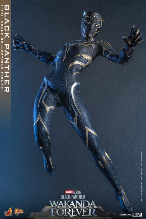 Black Panther 1/6 Scale Figure - Image 12