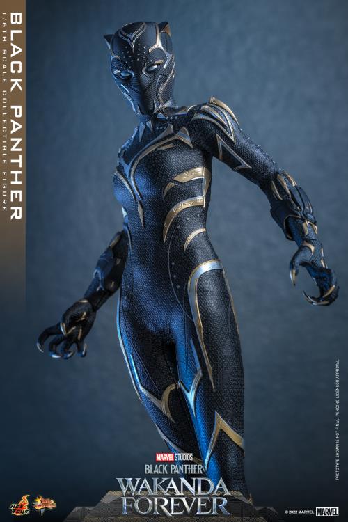 Black Panther 1/6 Scale Figure - Image 13