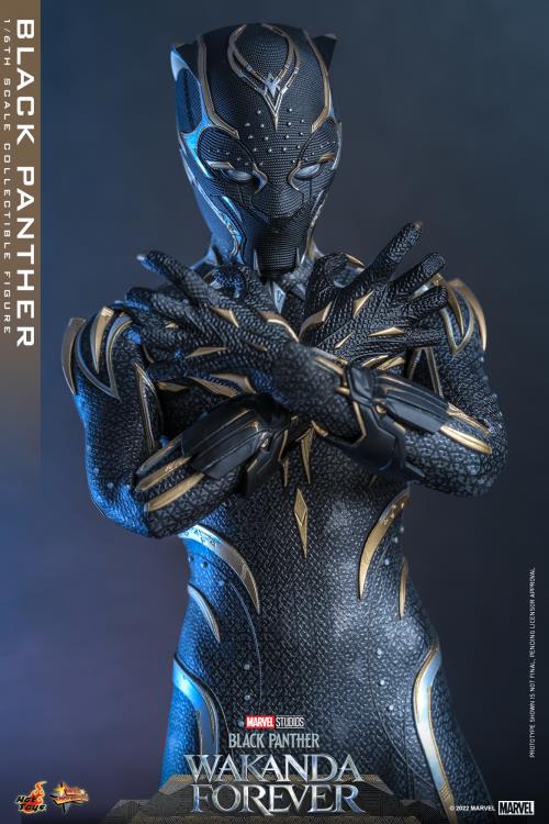 Black Panther 1/6 Scale Figure - Image 14