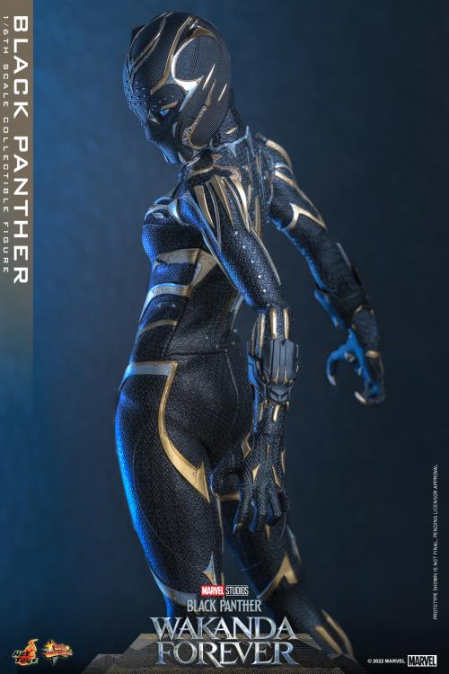 Black Panther 1/6 Scale Figure - Image 15