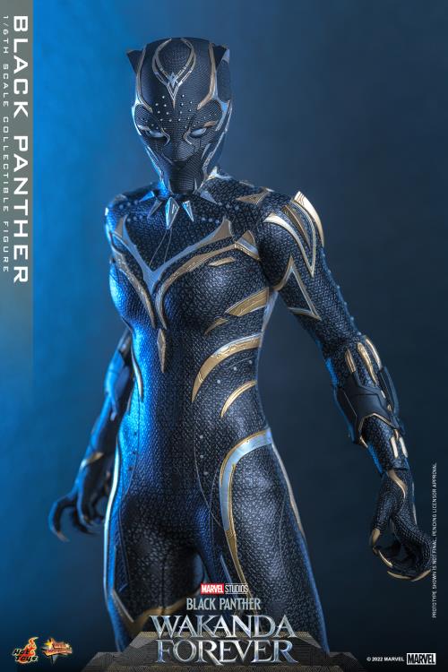 Black Panther 1/6 Scale Figure - Image 16