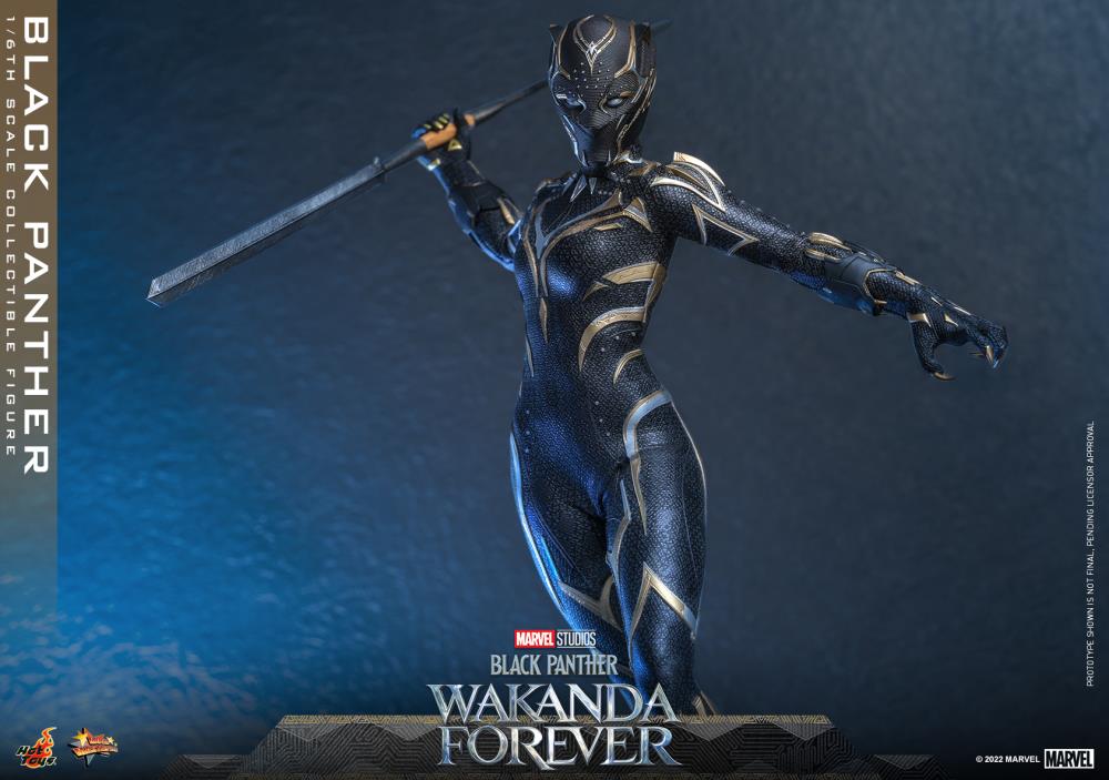 Black Panther 1/6 Scale Figure - Image 17