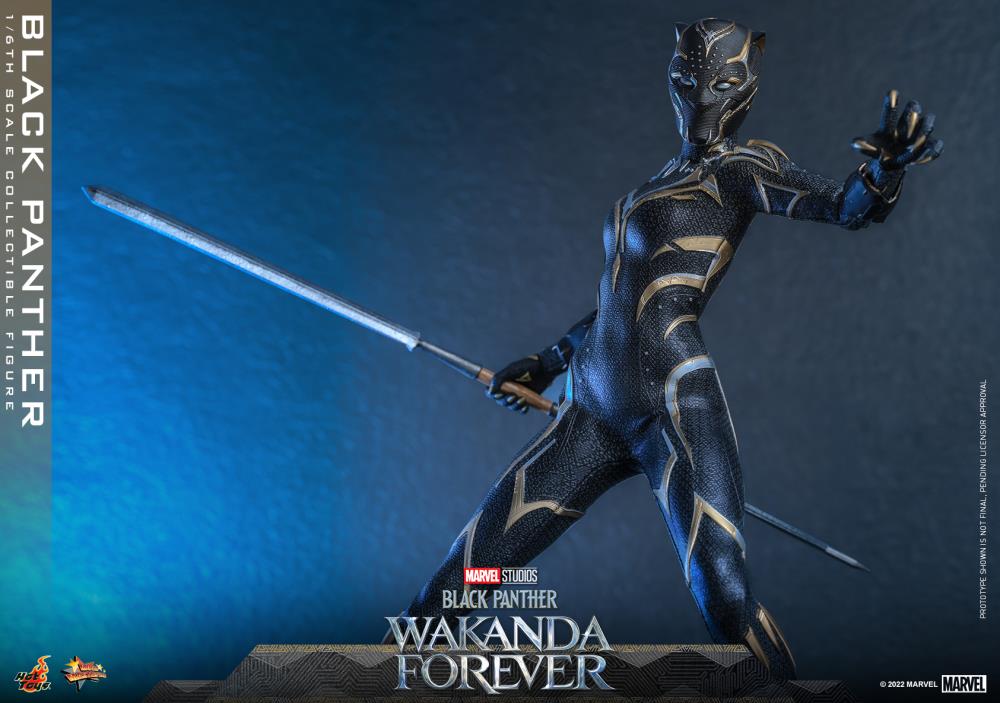 Black Panther 1/6 Scale Figure - Image 18