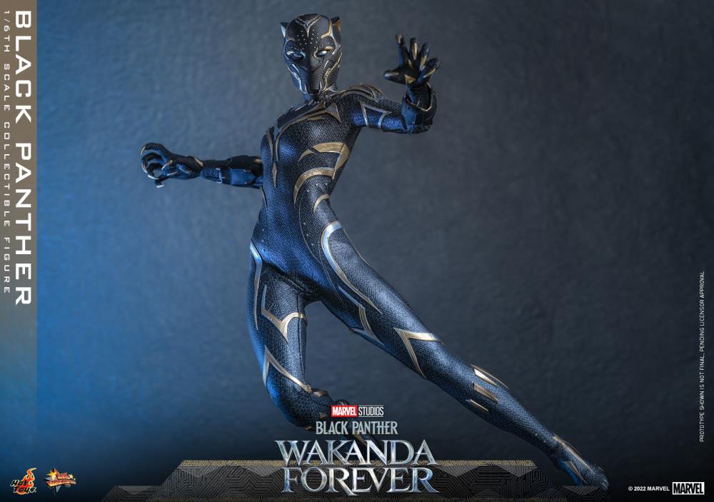 Black Panther 1/6 Scale Figure - Image 19