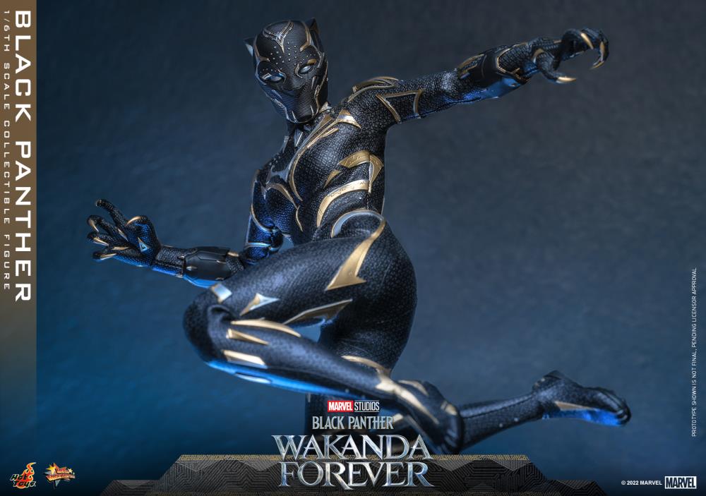 Black Panther 1/6 Scale Figure - Image 20