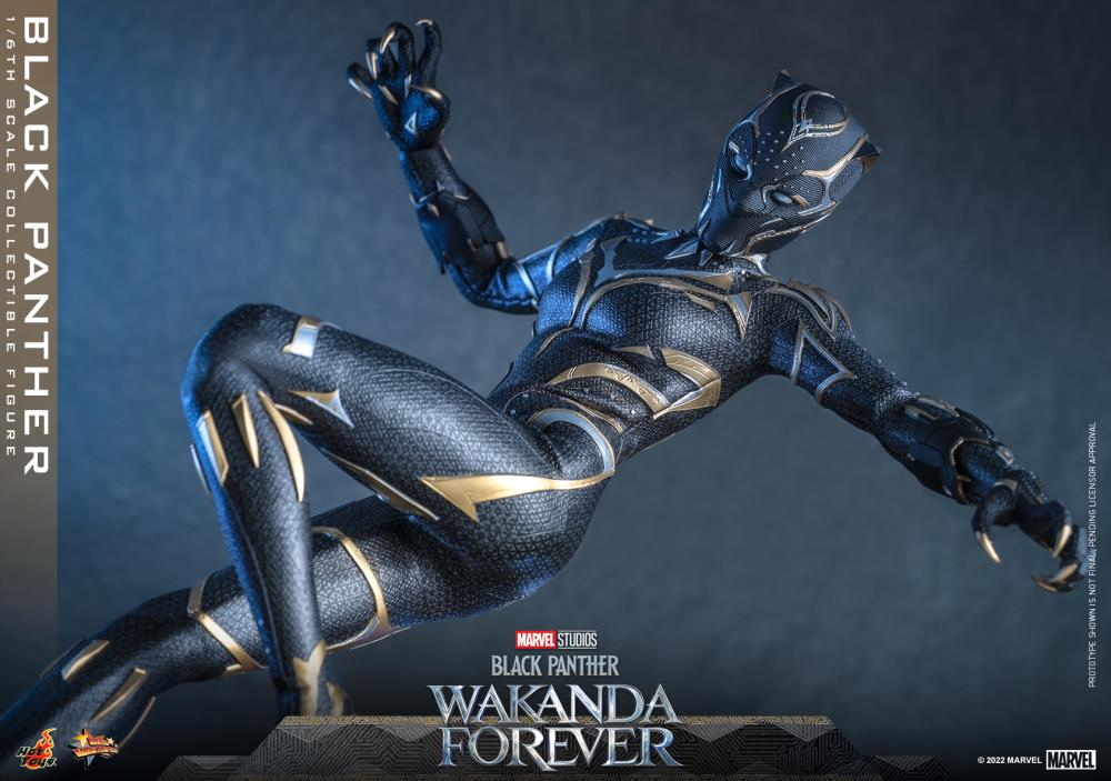 Black Panther 1/6 Scale Figure - Image 21