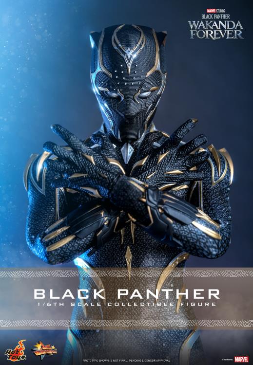 Black Panther 1/6 Scale Figure - Image 22