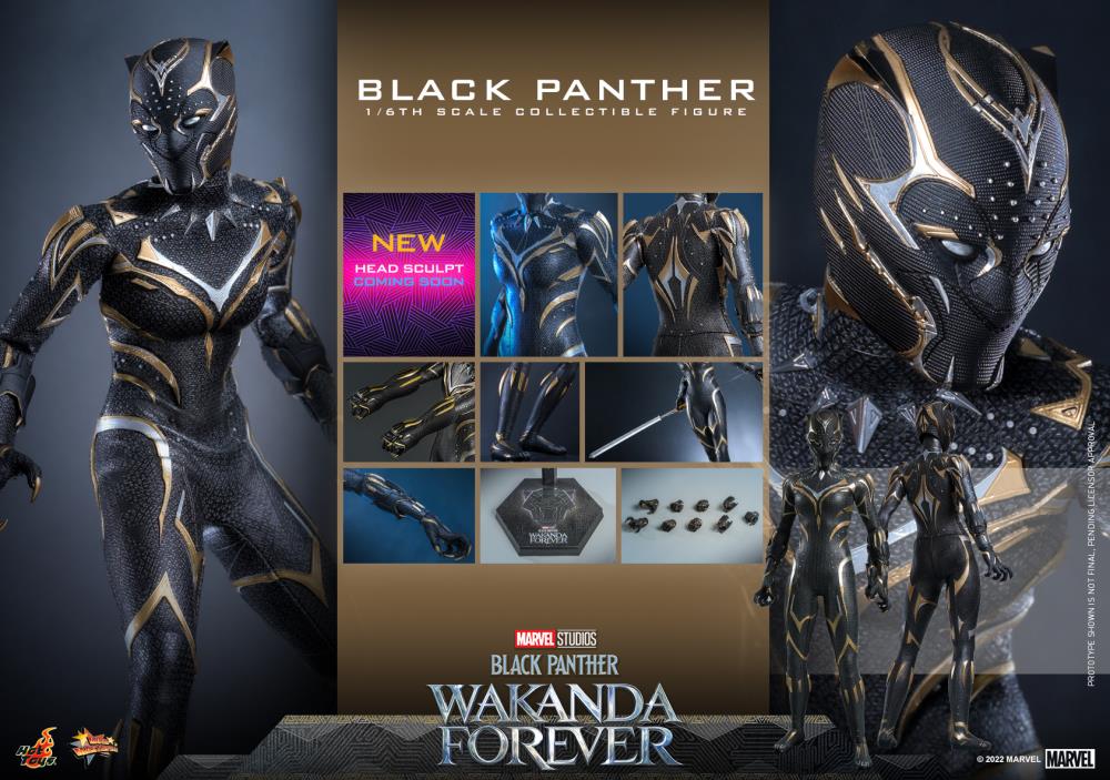 Black Panther 1/6 Scale Figure - Image 23