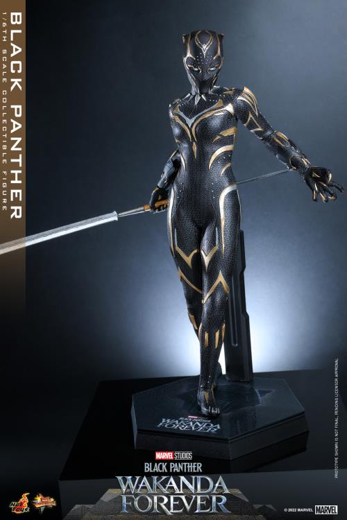 Black Panther 1/6 Scale Figure - Image 4