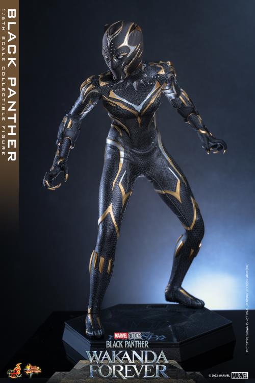 Black Panther 1/6 Scale Figure - Image 5