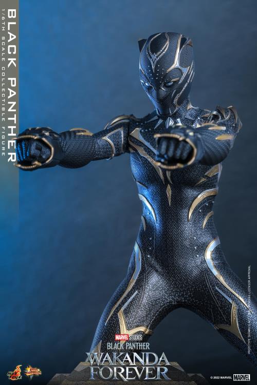 Black Panther 1/6 Scale Figure - Image 6