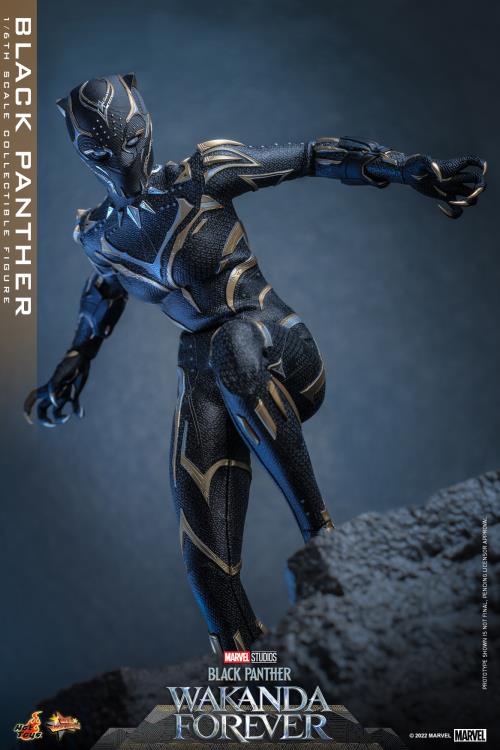 Black Panther 1/6 Scale Figure - Image 8