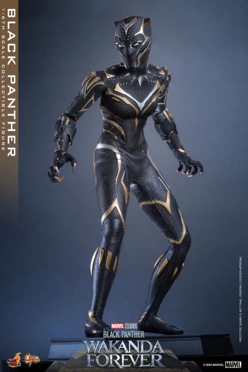 Black Panther 1/6 Scale Figure - Image 9