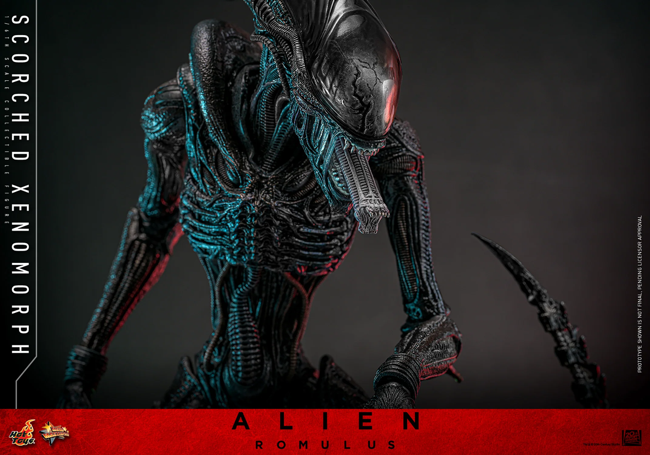 Scorched Xenomorph Sixth Scale Figure Hot Toys - Image 2