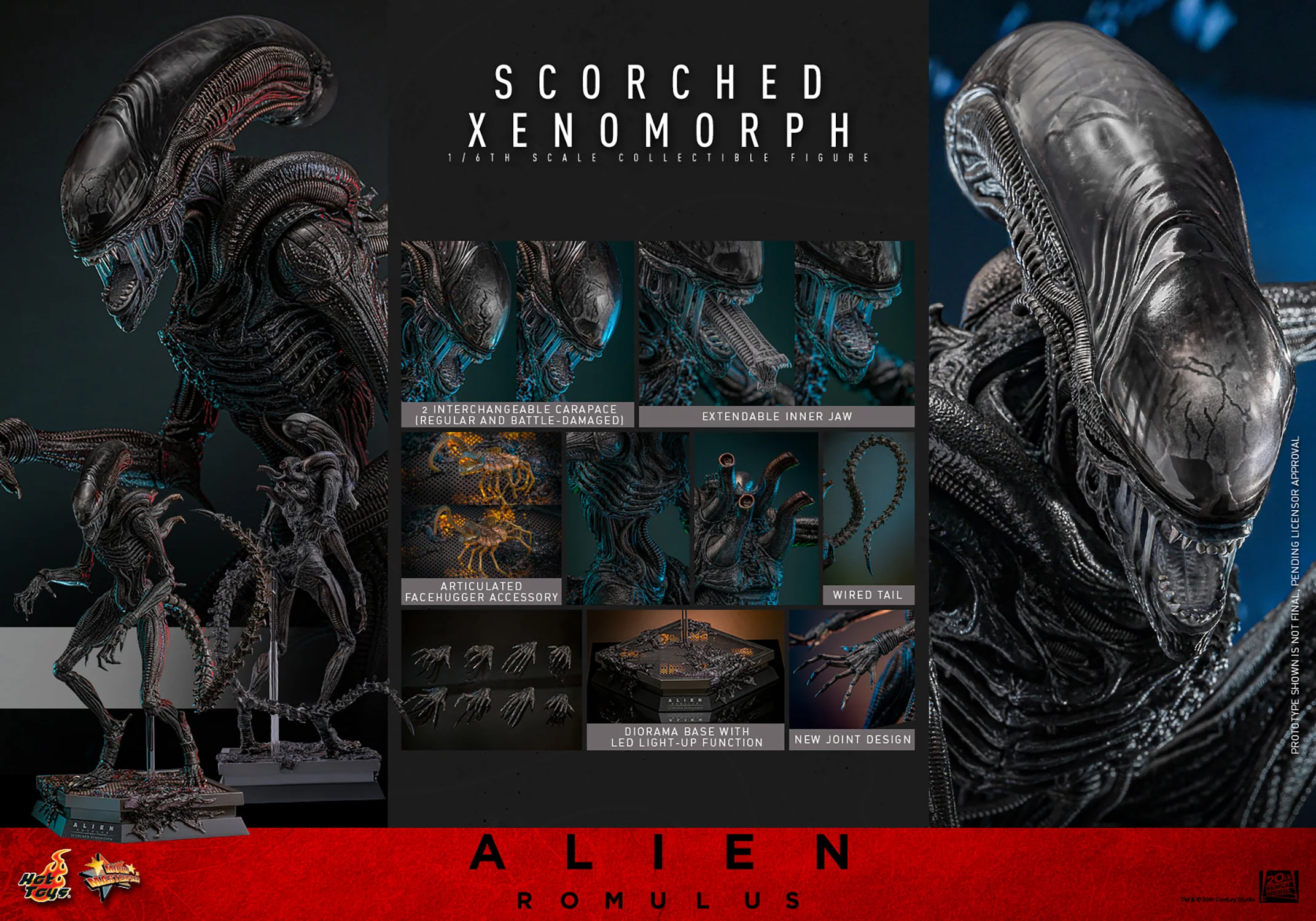 Scorched Xenomorph Sixth Scale Figure Hot Toys - Image 3