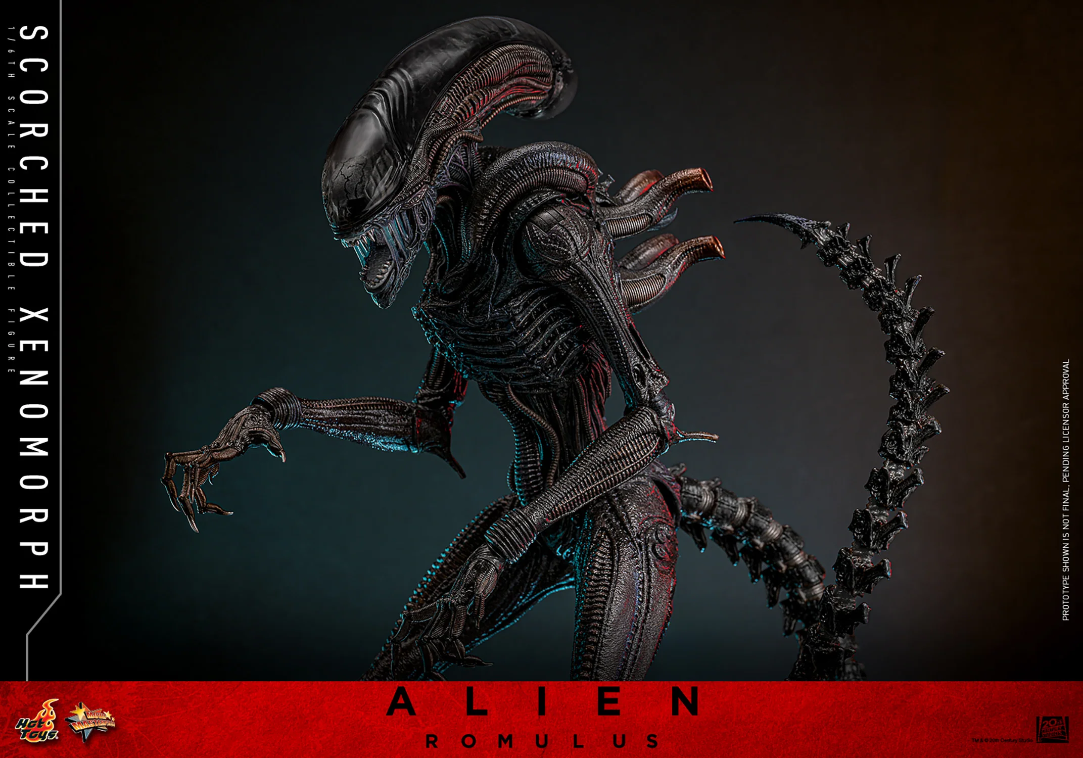 Scorched Xenomorph Sixth Scale Figure Hot Toys - Image 4