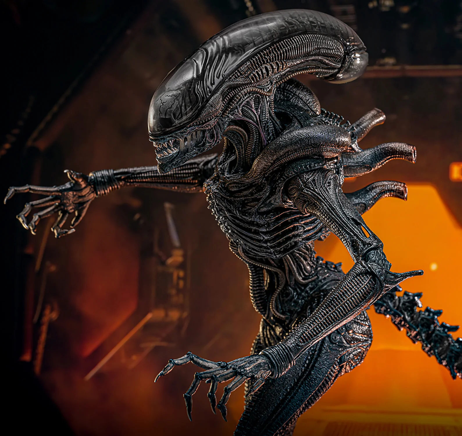 Scorched Xenomorph Sixth Scale Figure Hot Toys - Image 5