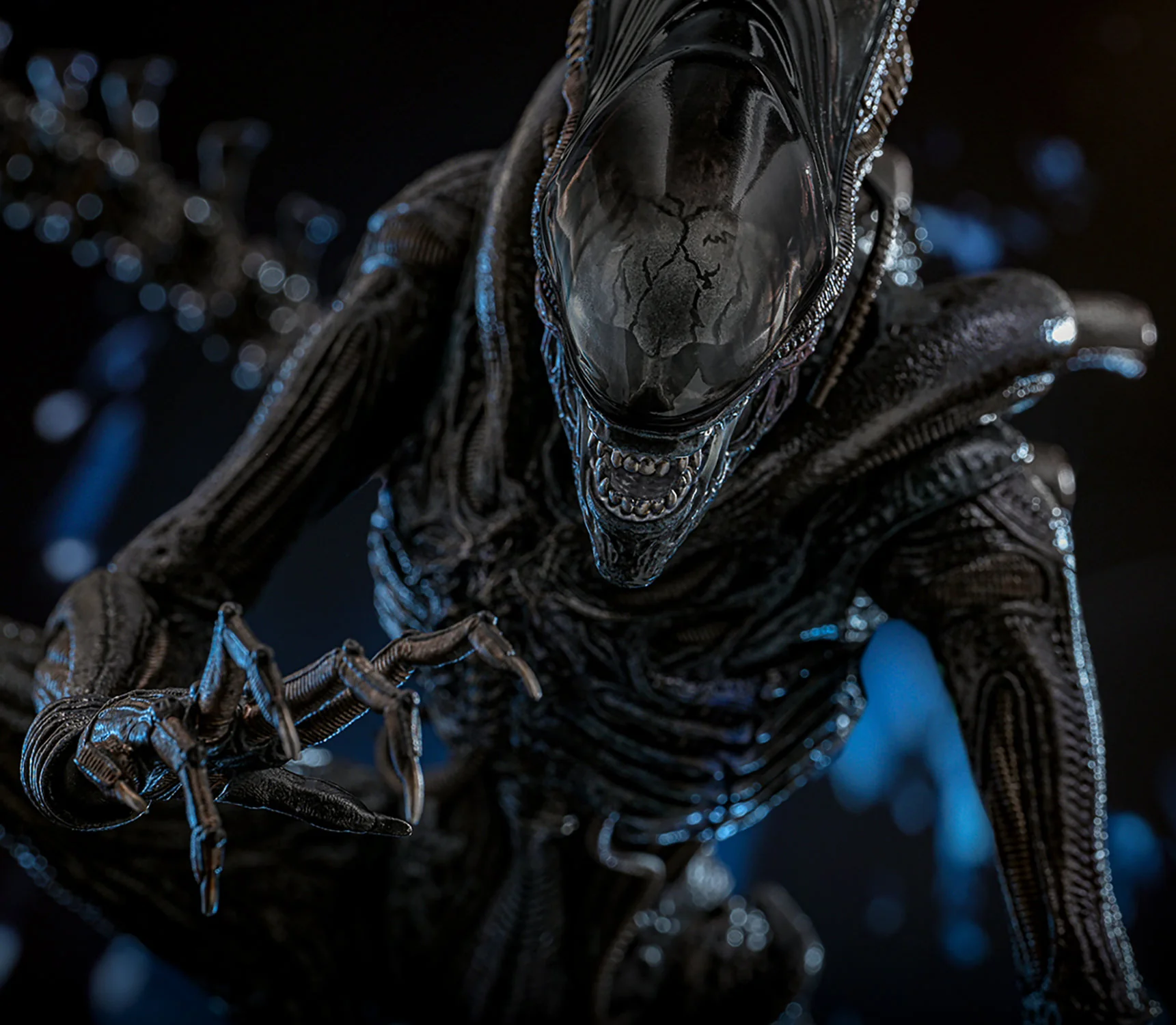 Scorched Xenomorph Sixth Scale Figure Hot Toys - Image 6