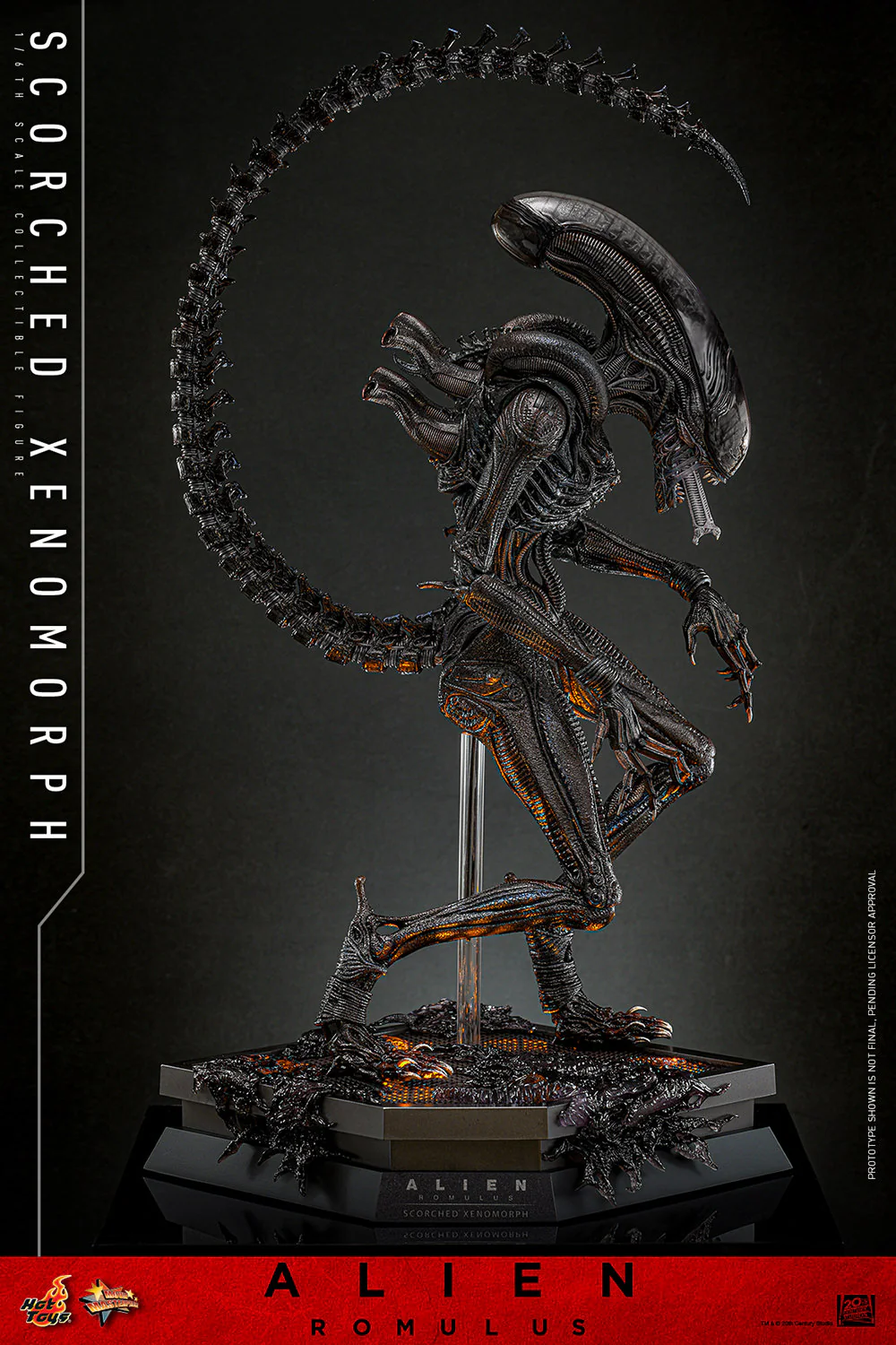 Scorched Xenomorph Sixth Scale Figure Hot Toys - Image 7