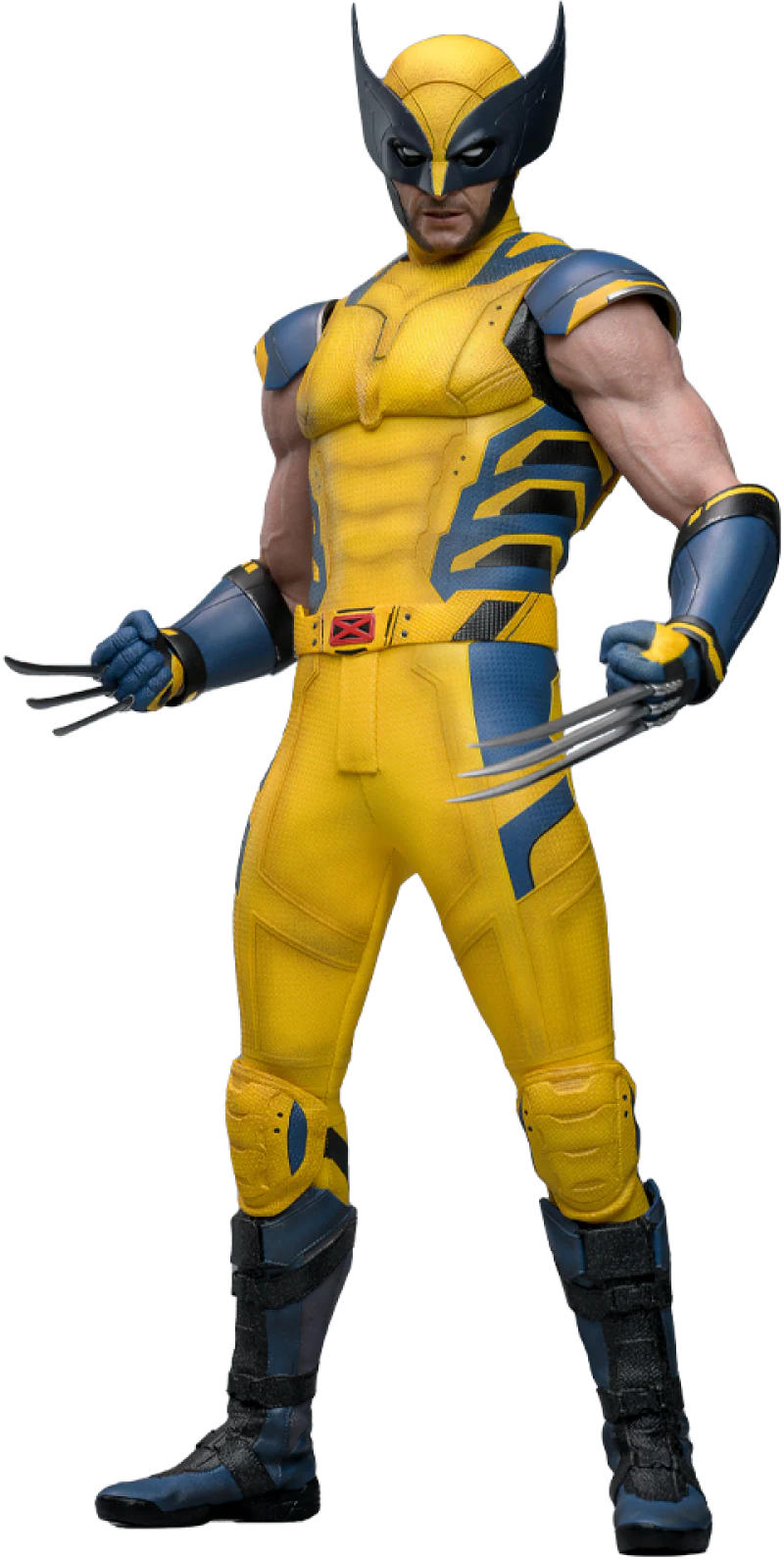 Wolverine Sixth Scale Figure - Image 6
